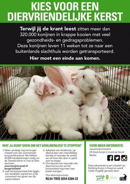 Afbeelding invoegen